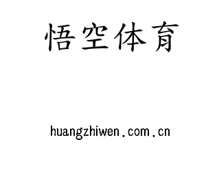 深圳市悟空体育电子有限公司官网